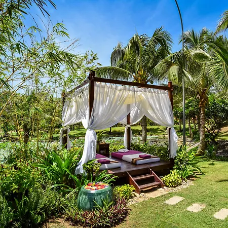 Pandanus Resort - Complimentary Minibar-2